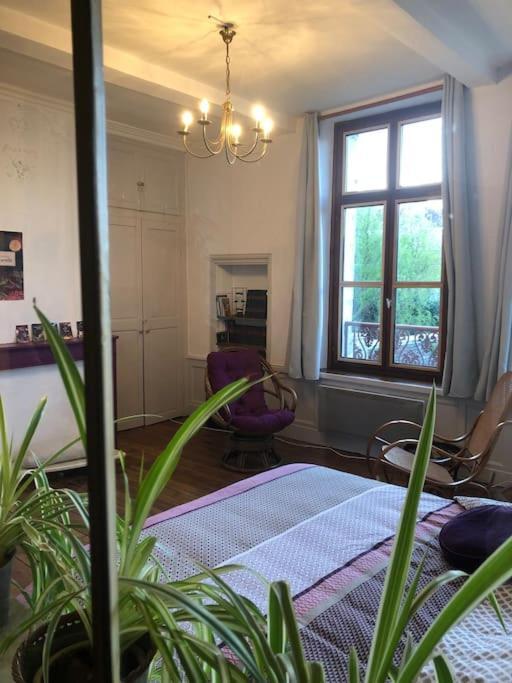 L'Omerade: Appartement De Charme Dans Une Maison Audomaroise Saint-Omer  Eksteriør billede