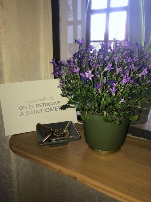 L'Omerade: Appartement De Charme Dans Une Maison Audomaroise Saint-Omer  Eksteriør billede