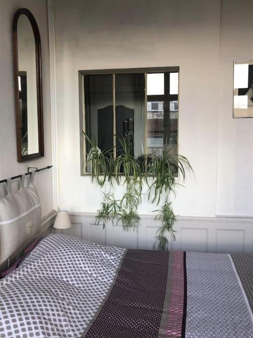 L'Omerade: Appartement De Charme Dans Une Maison Audomaroise Saint-Omer  Eksteriør billede